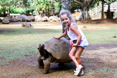 tortues à l'île Maurice dans le Parc de la Vanille avec enfants